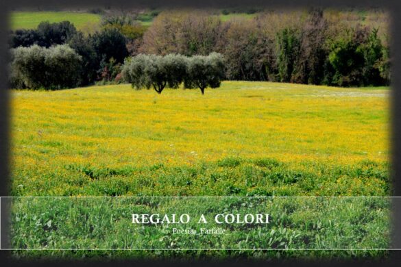 Regalo a colori Farfalle Pht Emanuela Gizzi Mapping Lucia