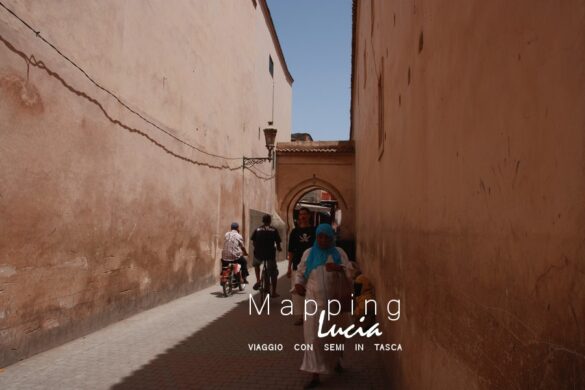 Marrakech il Souq tra le mura Pht Emanuela Gizzi Mapping Lucia (10)