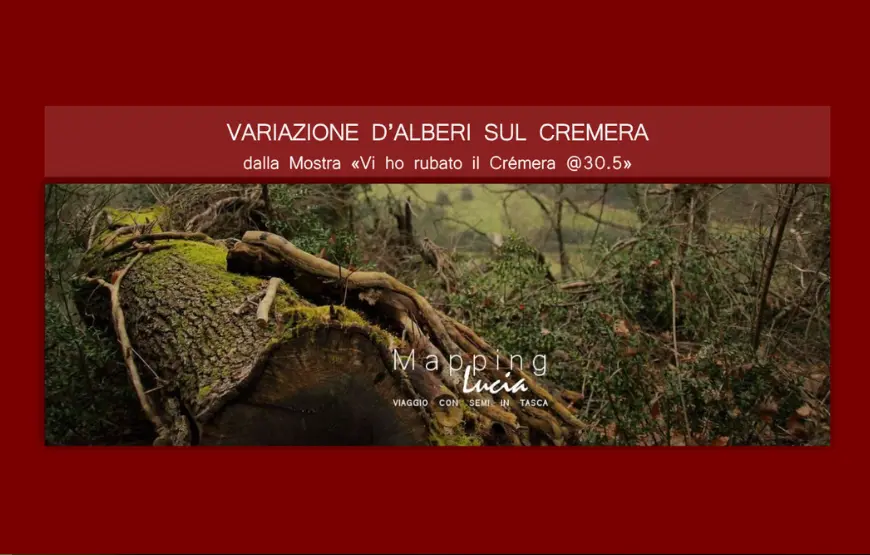 copertina-alberi-del-cremera-sfondo-rosso-e-fotografia-di-un-tronco-in-mezzo-a-un-bosco
