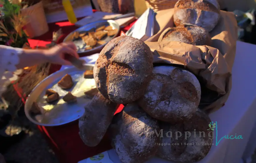 pane-francigeno-in-pagnottelle-prodotto-da-nonna-meca