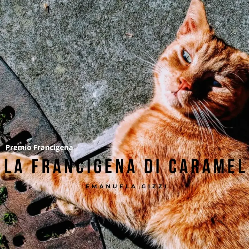 copertina-racconto-la-francigena-di-caramel-di-emanuela-gizzi-premio-francigena-in-foto-un-gatto-rosso-fuoco-con-occhi-verde-chiaro
